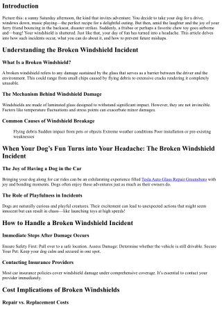 When Your Dog’s Fun Turns into Your Headache: The Broken Windshield Incident