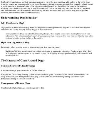 Dog Play and Glass Shatter: A Cautionary Tale for Pet Owners