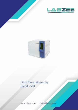 Gas-Chromatography