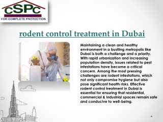 Rodent Control Treatment In Dubai: A Strategic Approach for a Hygiene