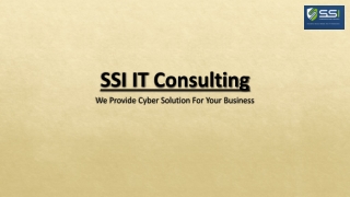 Top-Rated IT Cyber Security Consultant Services | SSI IT Consulting Experts