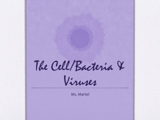 The Cell/Bacteria &amp; Viruses