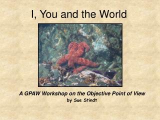 A GPAW Workshop on the Objective Point of View by Sue Stindt