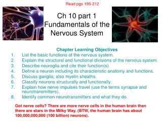Ch 10 part 1 Fundamentals of the Nervous System