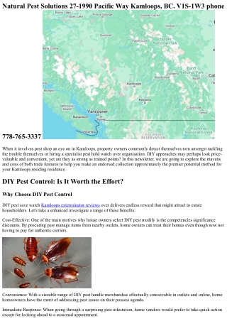 DIY vs Professional Pest Control: Which is Best for Kamloops Homes?