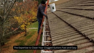 The Expertise to Clean Your Clogged Gutters Fast and Easy
