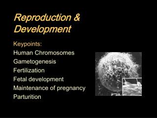Reproduction &amp; Development