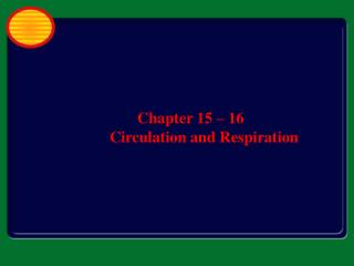 Chapter 15 – 16 Circulation and Respiration