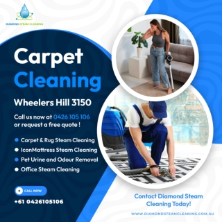 Carpet Cleaning Wheelers Hill 3150