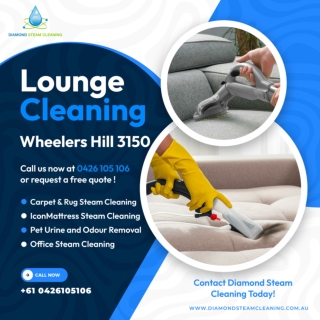 Lounge Cleaning Wheelers Hill 3150