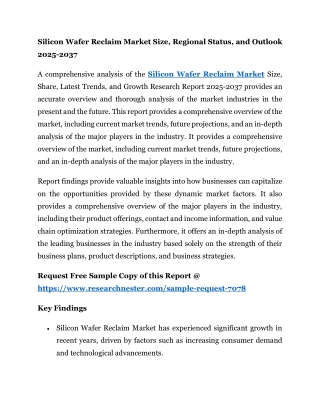 Silicon Wafer Reclaim Market
