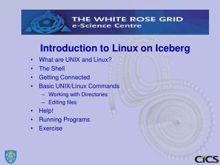 Introduction to Linux on Iceberg