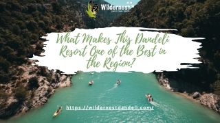 What Makes Wildernest Resort Dandeli One of the Best in the Region?