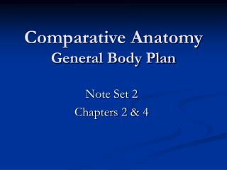 Comparative Anatomy General Body Plan