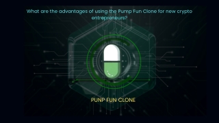 PUMP FUN CLONE