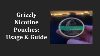 Grizzly Nicotine Pouches: Usage & Guide