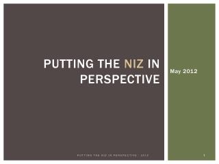 Putting the NIZ in perspective