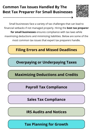 Common Tax Issues Handled By The Best Tax Preparer For Small Businesses