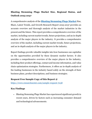 Blasting Stemming Plugs Market