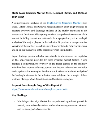 Multi-Layer Security Market