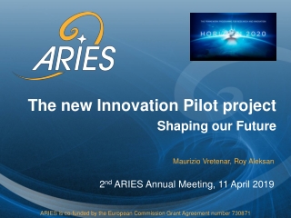 The new Innovation Pilot project Shaping our Future