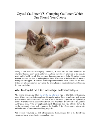 Crystal Cat Litter VS Clumping Cat Litter Which One Should You Choose