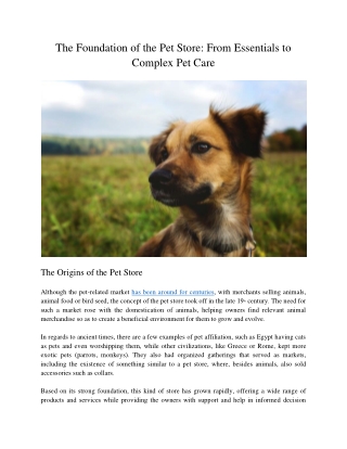 The Foundation of the Pet Store: From Essentials to Complex Pet Care