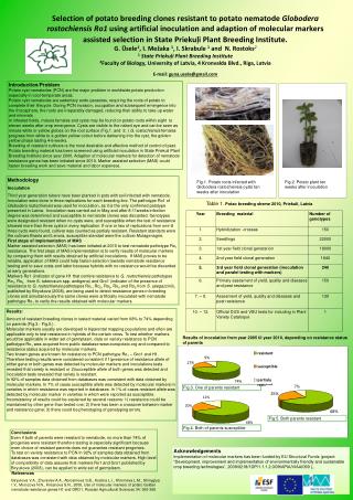 Introduction/Problem Potato cyst nematodes (PCN) are the major problem in worldwide potato production especially in cool