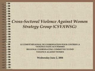 Cross-Sectoral Violence Against Women Strategy Group (CSVAWSG)