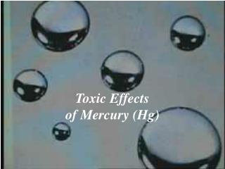 Toxic Effects of Mercury (Hg)