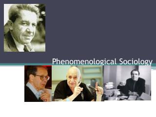 Phenomenological Sociology