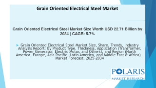 Grain Oriented Electrical Steel Market