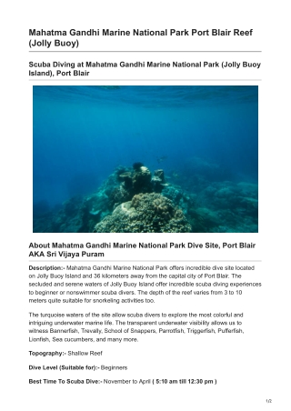Scuba Diving at Mahatma Gandhi Marine National Park (Jolly Buoy Island)
