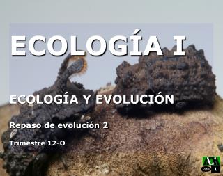 ECOLOGÍA I ECOLOGÍA Y EVOLUCIÓN Repaso de evolución 2 Trimestre 12-O