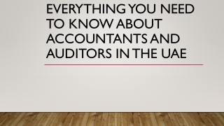 Everything You Need to Know About Accountants and Auditors in the UAE