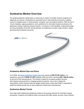 Guidewires Market Outlook: Size, Share & Industry Insights 2034