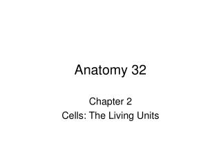 Anatomy 32