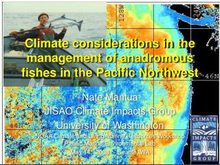 Climate considerations in the management of anadromous fishes in the Pacific Northwest