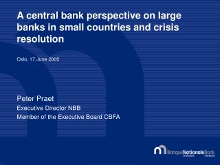 A central bank perspective on large banks in small countries and crisis resolution Oslo, 17 June 2005