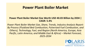 Power Plant Boiler Market