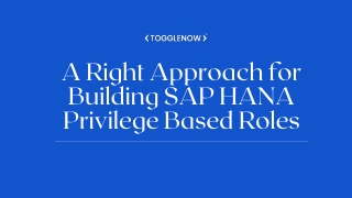 A Right Approach for Building SAP HANA Privilege Based Roles