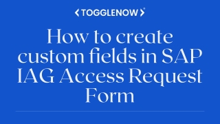 How to create custom fields in SAP IAG Access Request Form