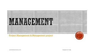 Management Project Assignment Help