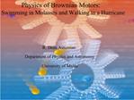 Physics of Brownian Motors: Swimming in Molasses and Walking in a Hurricane