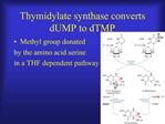 Thymidylate synthase converts dUMP to dTMP