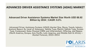 Advanced Driver Assistance Systems (Adas) Market