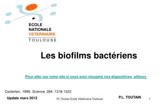 Les biofilms bactériens