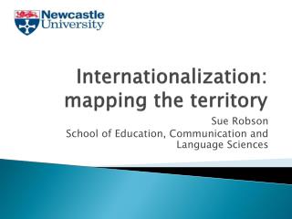 Internationalization: mapping the territory