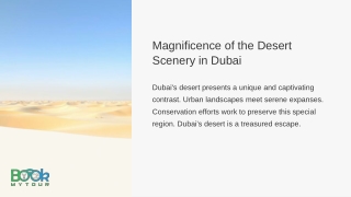 Explore the desert with various adventures