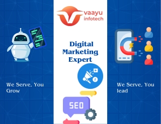 Best IT & Digital Marketing Company in India | Vaayu Infotech
